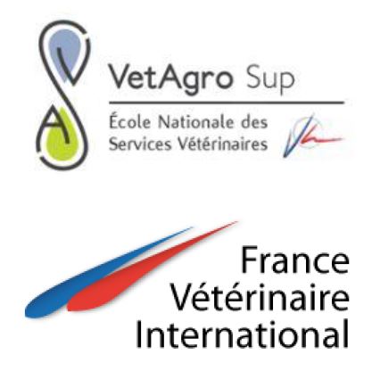 Logos FVI-ENSV-VetagroSup