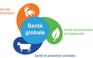 Logo une seule santé