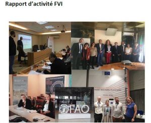 Couverture rapport d'activités 2019