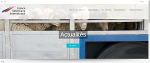 page-accueil-site-FVI