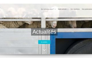 page-accueil-site-FVI