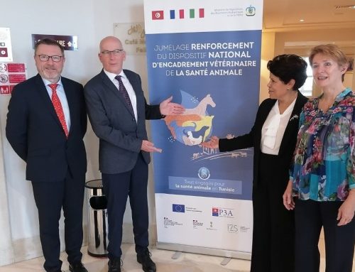 Tunisie : lancement du jumelage « Renforcement du dispositif national d’encadrement de la santé animale »