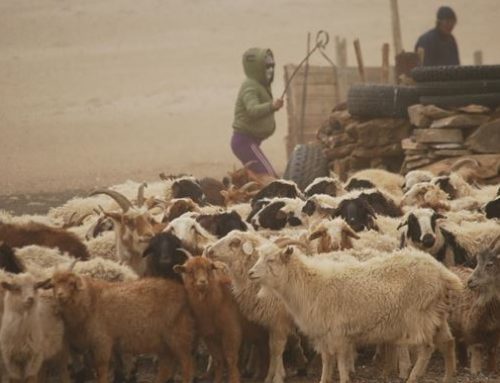 Expertise France recrute des experts techniques internationaux à pourvoir à la FAO